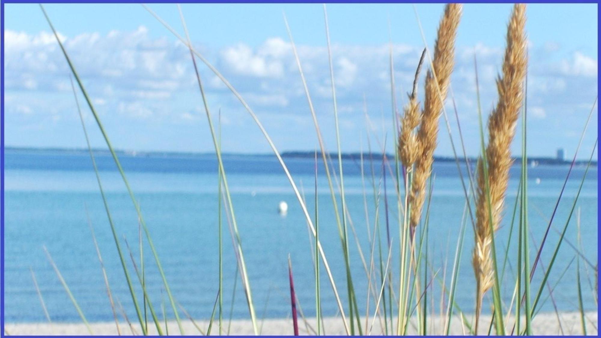 Bonna&#039S Ostsee Oase - Haus Baltic - Whg 180 - Inkl Gratis Wlan Und Saisonstrandkorb Grömitz Dış mekan fotoğraf