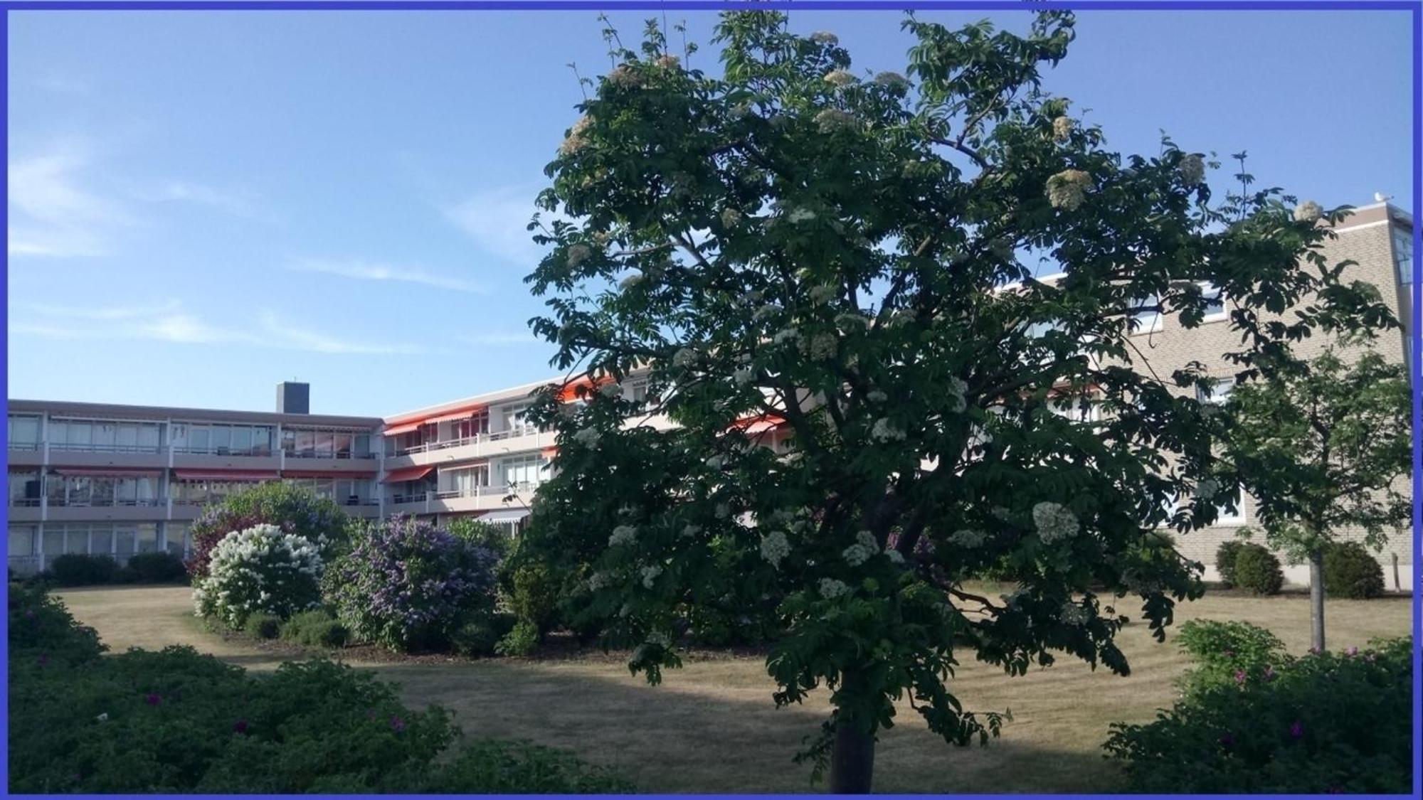 Bonna&#039S Ostsee Oase - Haus Baltic - Whg 180 - Inkl Gratis Wlan Und Saisonstrandkorb Grömitz Dış mekan fotoğraf